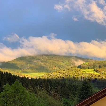 Black Forest Appartement - Brandenkopfblick Zell am Harmersbach Luaran gambar