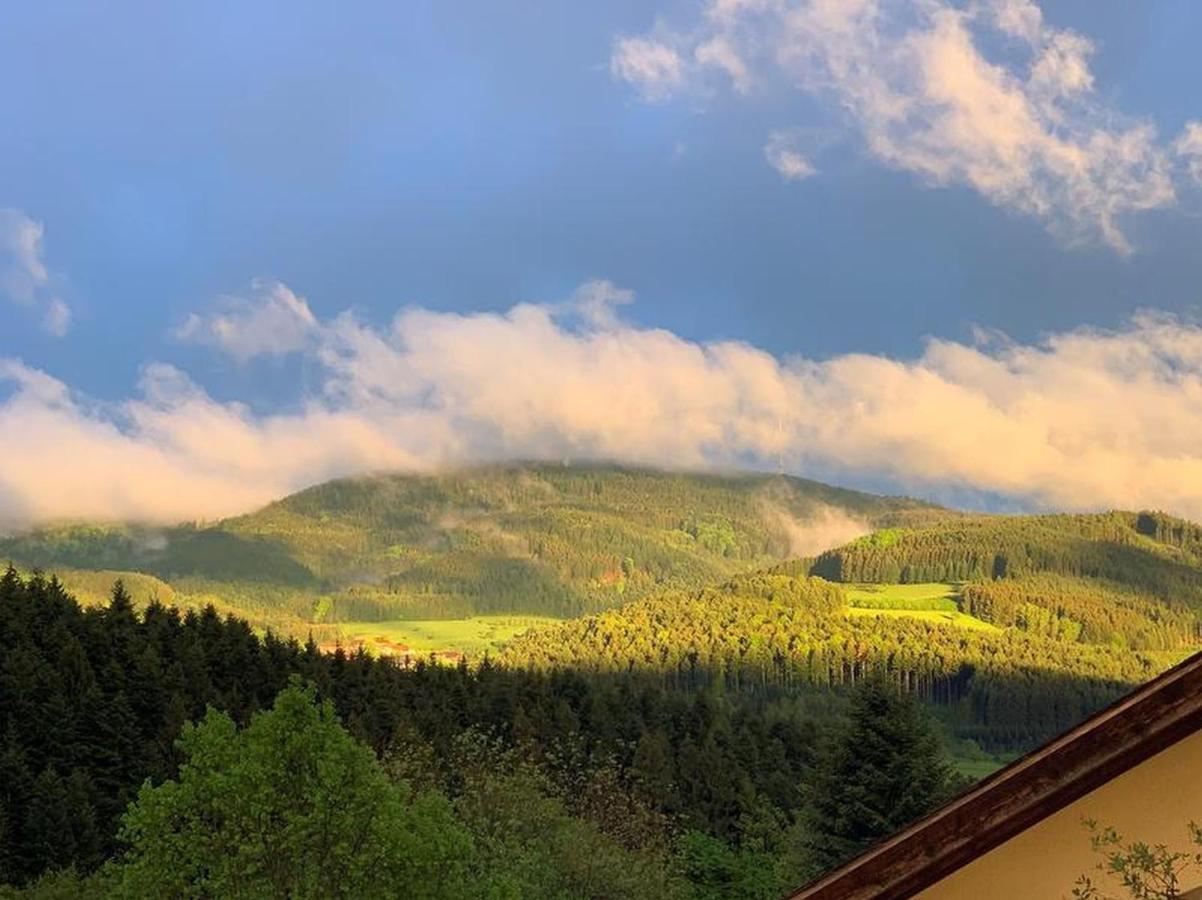 Black Forest Appartement - Brandenkopfblick Zell am Harmersbach Luaran gambar