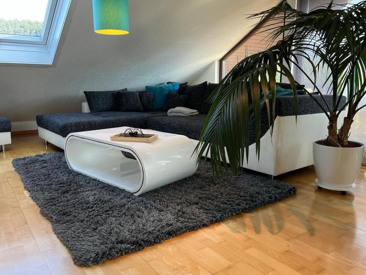 Black Forest Appartement - Brandenkopfblick Zell am Harmersbach Luaran gambar
